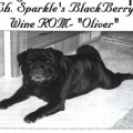 SPARKLE'S BLACKBERRY WINE