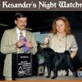 KESANDER'S NIGHT WATCHMAN