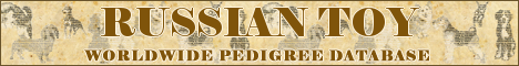 DogsFiles.com - databases of all dog's breeds.