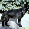 SCHWARZEN KLOSTER YUZHANNA SCHWARZEN KLOSTER YUZHANNA