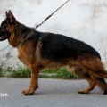 NEYMAR VON CASPIAN