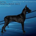 NAGYIREGI KENNETH MIRA GREZ