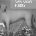 BMW SNOW FLURRY