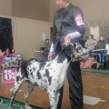 PERADOG'S MED-ZHI ZIMNYAYA SKAZKA PERADOG'S MED-ZHI ZIMNYAYA SKAZKA