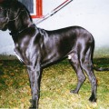 OLDBLUZ JARAT OLDBLUZ JARAT