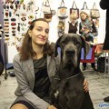 NORMAUNDIE DEL AZART DOG NORMAUNDIE DEL AZART DOG