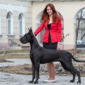 LUCHSHAYA IZ MIRA GREZ LUCHSHAYA IZ MIRA GREZ