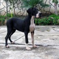GABRIELA THE GREAT OF SPECIAL GABRIELA THE GREAT OF SPECIAL