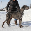 LAUFER FROSIA BURLAKOVA LAUFER FROSIA BURLAKOVA