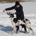 LAUFER FIORENTINA LAUFER FIORENTINA