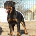 URAL HANTER FLEYTA URAL HANTER FLEYTA