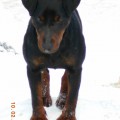URAL HANTER LEGENDA URAL HANTER LEGENDA