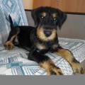 URAL HANTER CHEGET URAL HANTER CHEGET