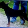 URAL HANTER EVA URAL HANTER EVA