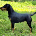 AKBEON VERDA