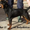 ZHAR II OT BELASHTITZA ZHAR II OT BELASHTITZA