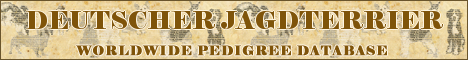 DogsFiles.com - databases of all dog's breeds.