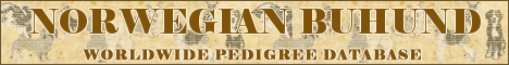 DogsFiles.com - databases of all dog's breeds.