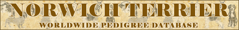 DogsFiles.com - databases of all dog's breeds.