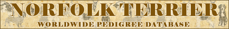 DogsFiles.com - databases of all dog's breeds.