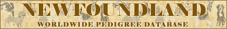 DogsFiles.com - databases of all dog's breeds.
