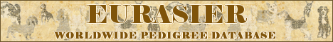 DogsFiles.com - databases of all dog's breeds.