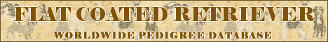 DogsFiles.com - databases of all dog's breeds.