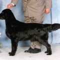 ALMANZA WET OR DRY AT PRAIRIELIGHT