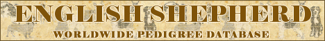 DogsFiles.com - databases of all dog's breeds.