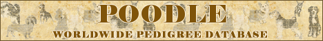 DogsFiles.com - databases of all dog's breeds.