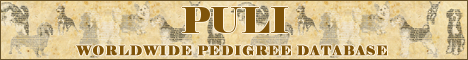 DogsFiles.com - databases of all dog's breeds.