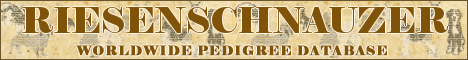 DogsFiles.com - databases of all dog's breeds.