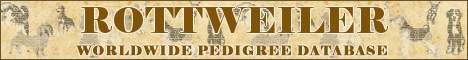 DogsFiles.com - databases of all dog's breeds.