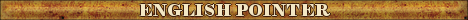 DogsFiles.com - databases of all dog's breeds.