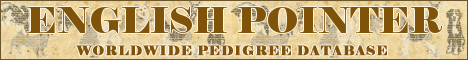 DogsFiles.com - databases of all dog's breeds.
