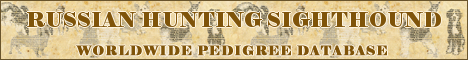 DogsFiles.com - databases of all dog's breeds.