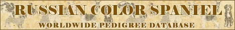 DogsFiles.com - databases of all dog's breeds.