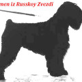 KARMEN IZ RUSSKOY ZVEZDI