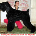 VOLNAYA KAZACHKA NOCH NA KUPALU
