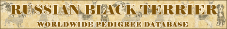DogsFiles.com - databases of all dog's breeds.