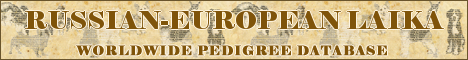 DogsFiles.com - databases of all dog's breeds.
