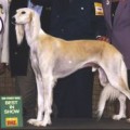 KIABE QARIBAN