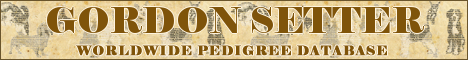 DogsFiles.com - databases of all dog's breeds.
