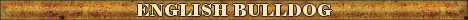 DogsFiles.com - databases of all dog's breeds.
