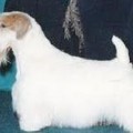 CELEBRITY'S MISS MADISON