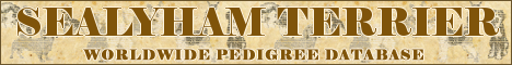 DogsFiles.com - databases of all dog's breeds.