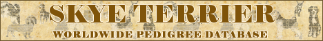 DogsFiles.com - databases of all dog's breeds.