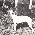 FATIMA DE SETTAT
