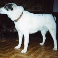 SAI KARA