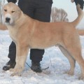 BEREG-OTA DJALAL BEREG-OTA DJALAL
